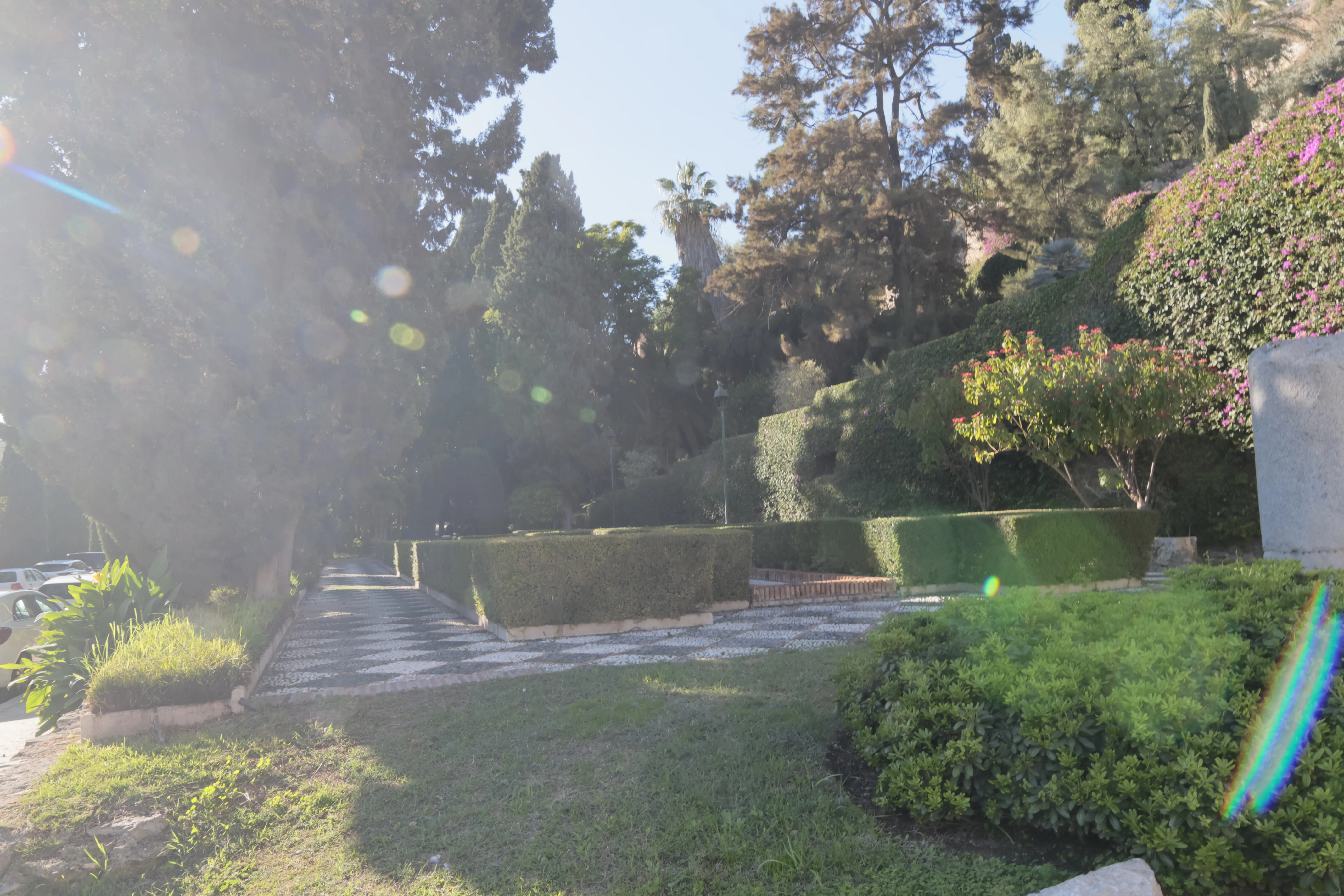 Tokina at-x 116 (EF) - _I4A1085.webp